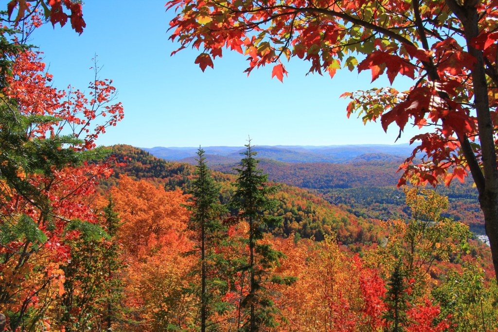 Indian Summer in seiner vollen&nbsp;Blüte