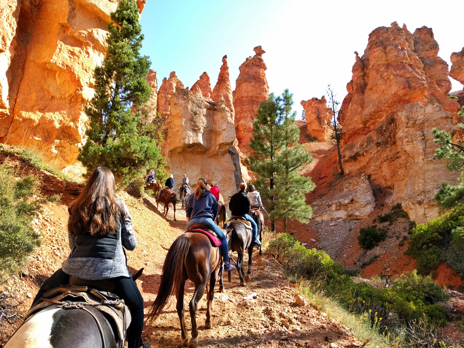 img_20160826_100426_